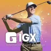 1xbet nigeria review